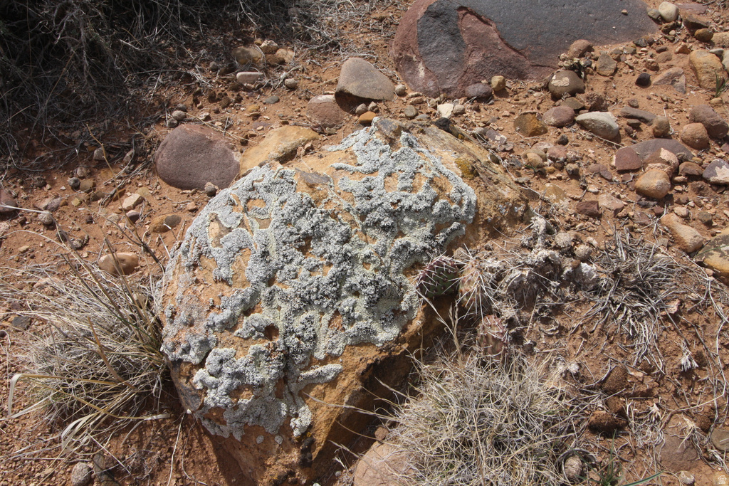 10495 E 7750 N Lapoint, UT 84039