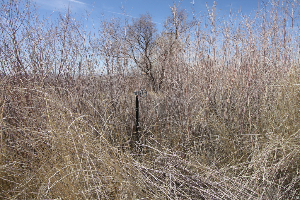 10495 E 7750 N Lapoint, UT 84039