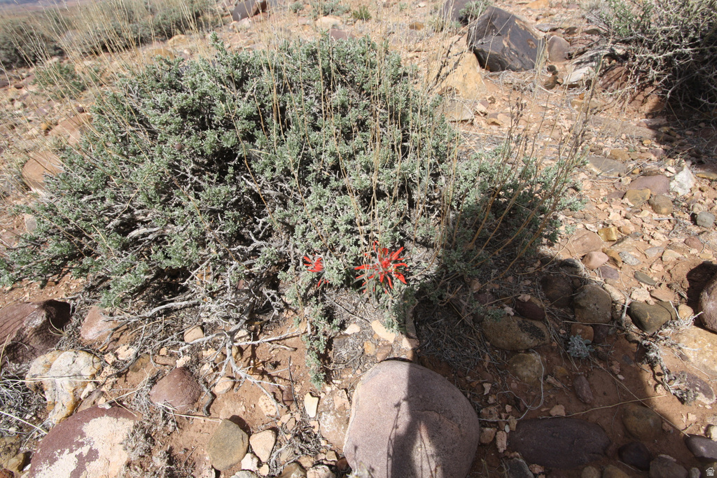 10495 E 7750 N Lapoint, UT 84039