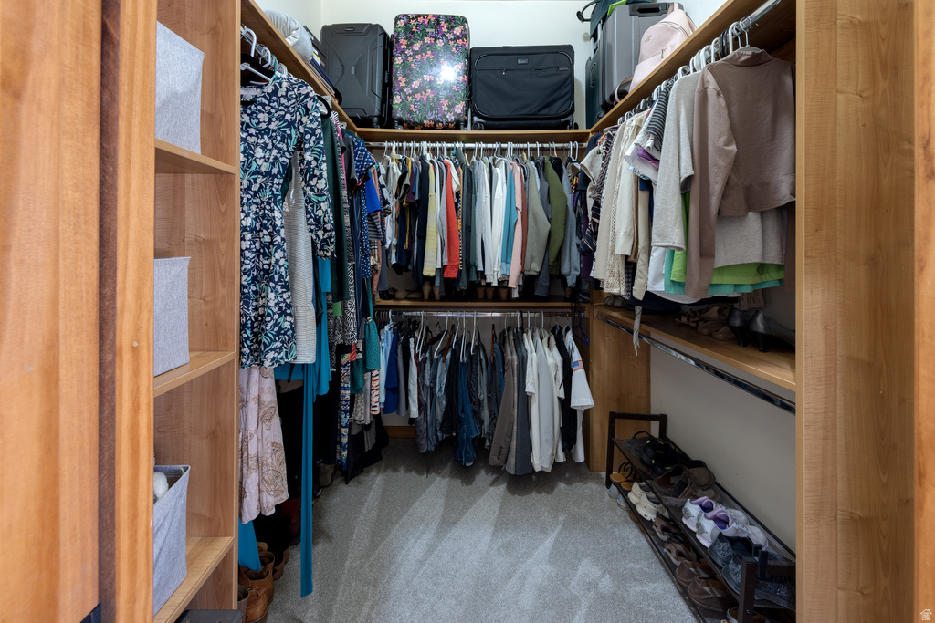 2520 WILLOW CREEK RD Moab, UT 84532