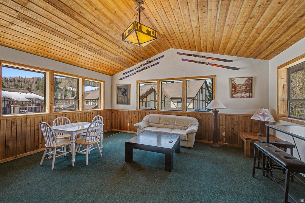 561 VASELS RD #R15-C Brian Head, UT 84719