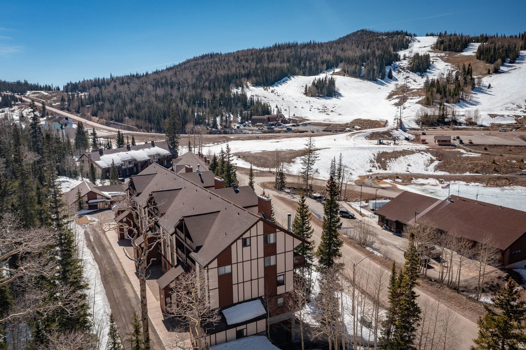 561 VASELS RD #R15-C Brian Head, UT 84719