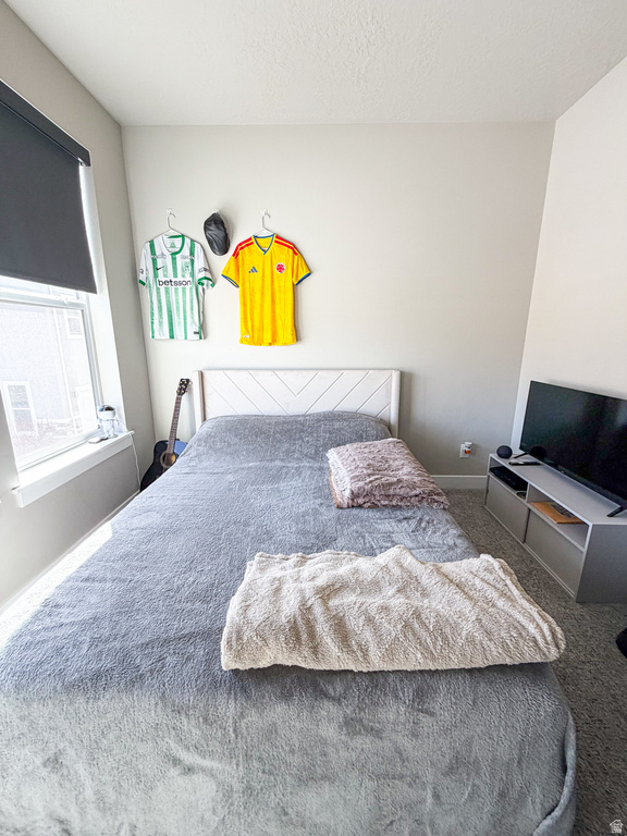 868 S 2560 E Spanish Fork, UT 84660