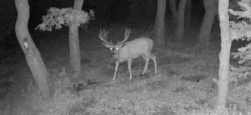 45 OAK CREST DRIVE Mt Pleasant, UT 84647