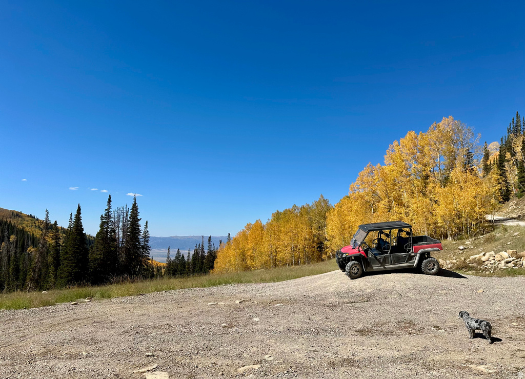 45 OAK CREST DRIVE Mt Pleasant, UT 84647