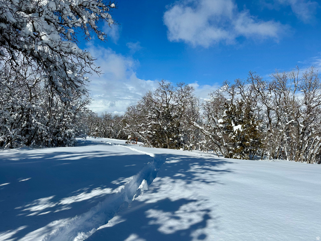 45 OAK CREST DRIVE Mt Pleasant, UT 84647