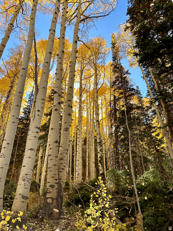 45 OAK CREST DRIVE Mt Pleasant, UT 84647