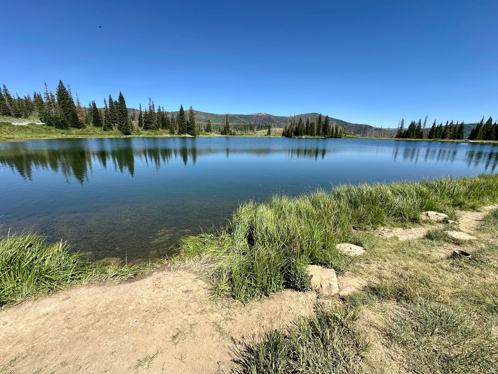 45 OAK CREST DRIVE Mt Pleasant, UT 84647