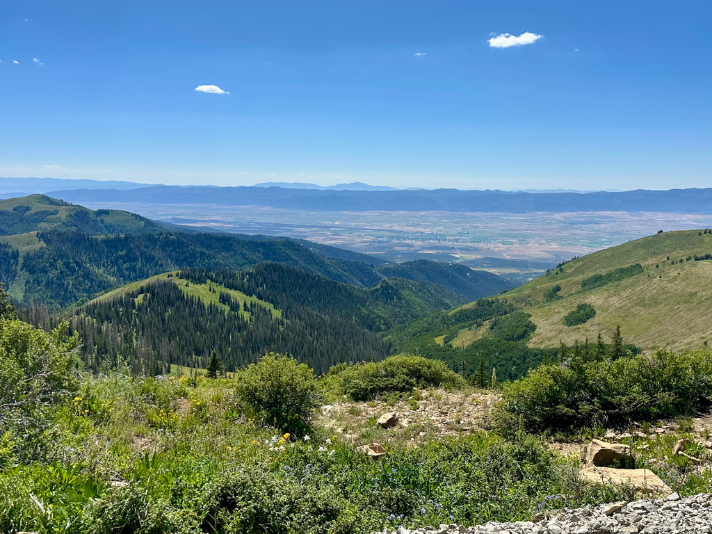 45 OAK CREST DRIVE Mt Pleasant, UT 84647