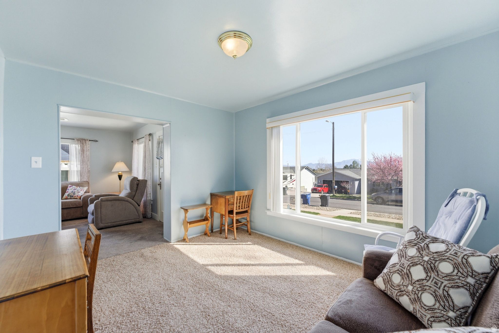 10306 S APEX RD Copperton, UT 84006