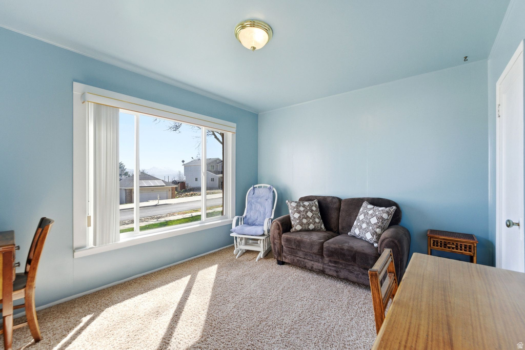 10306 S APEX RD Copperton, UT 84006