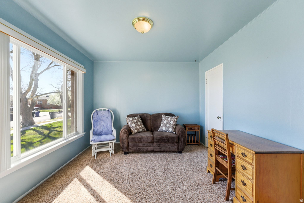 10306 S APEX RD Copperton, UT 84006