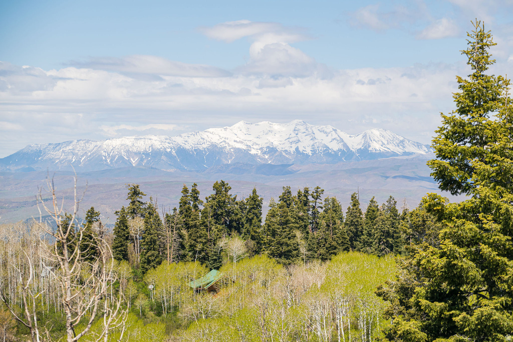 23200 N HILLSIDE DR #G-28 Fairview, UT 84629