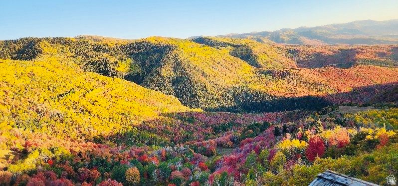 23200 N HILLSIDE DR #G-28 Fairview, UT 84629