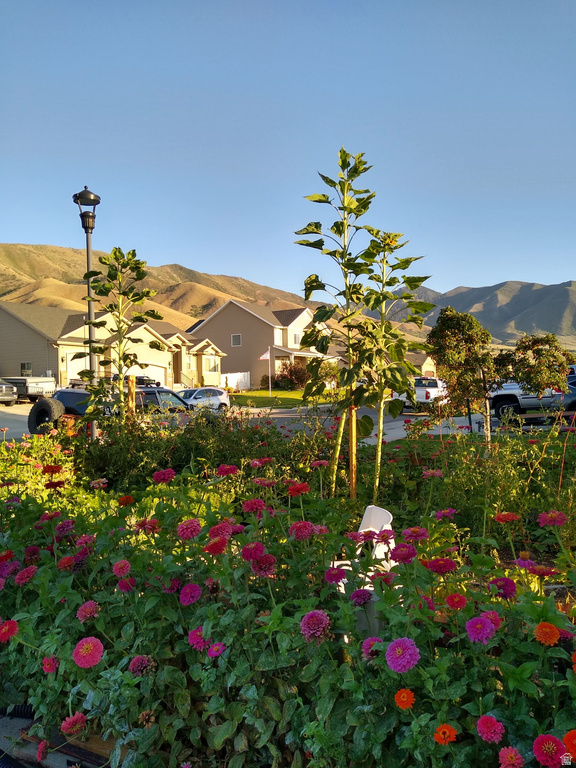 1124 S 1050 W Tooele, UT 84074