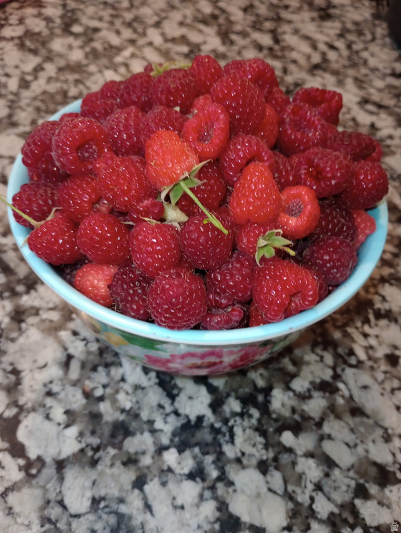 1124 S 1050 W Tooele, UT 84074