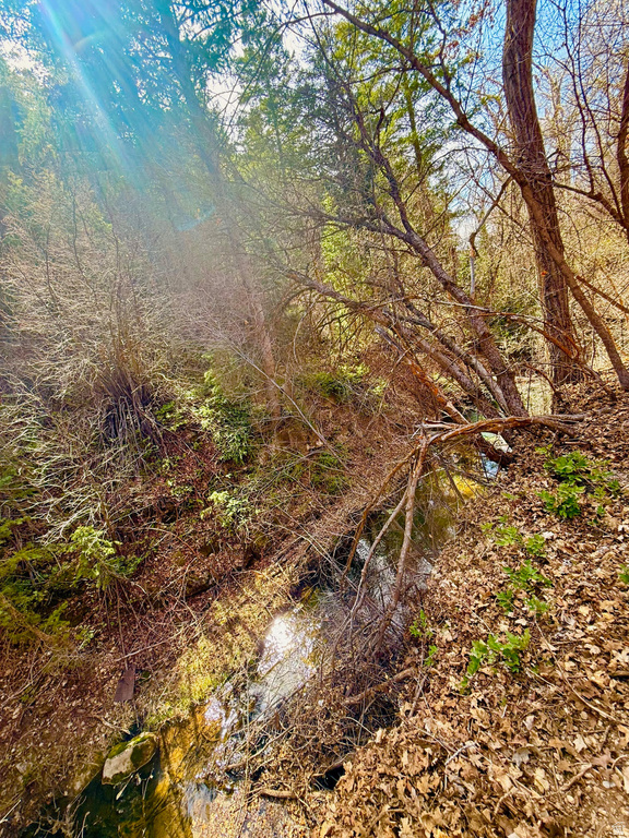 13780 BIRCH CREEK RD #D14 Fairview, UT 84629