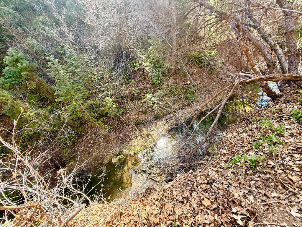 13780 BIRCH CREEK RD #D14 Fairview, UT 84629