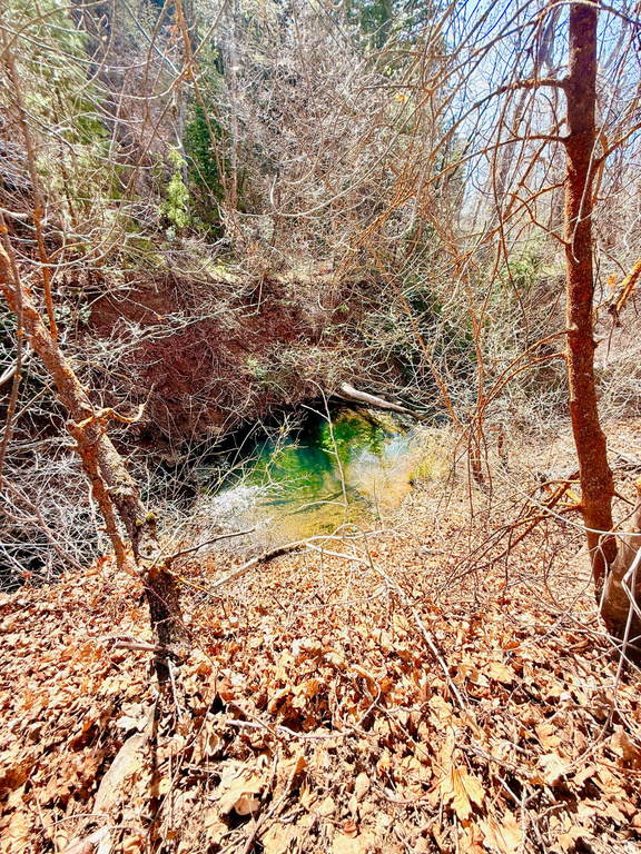 13780 BIRCH CREEK RD #D14 Fairview, UT 84629