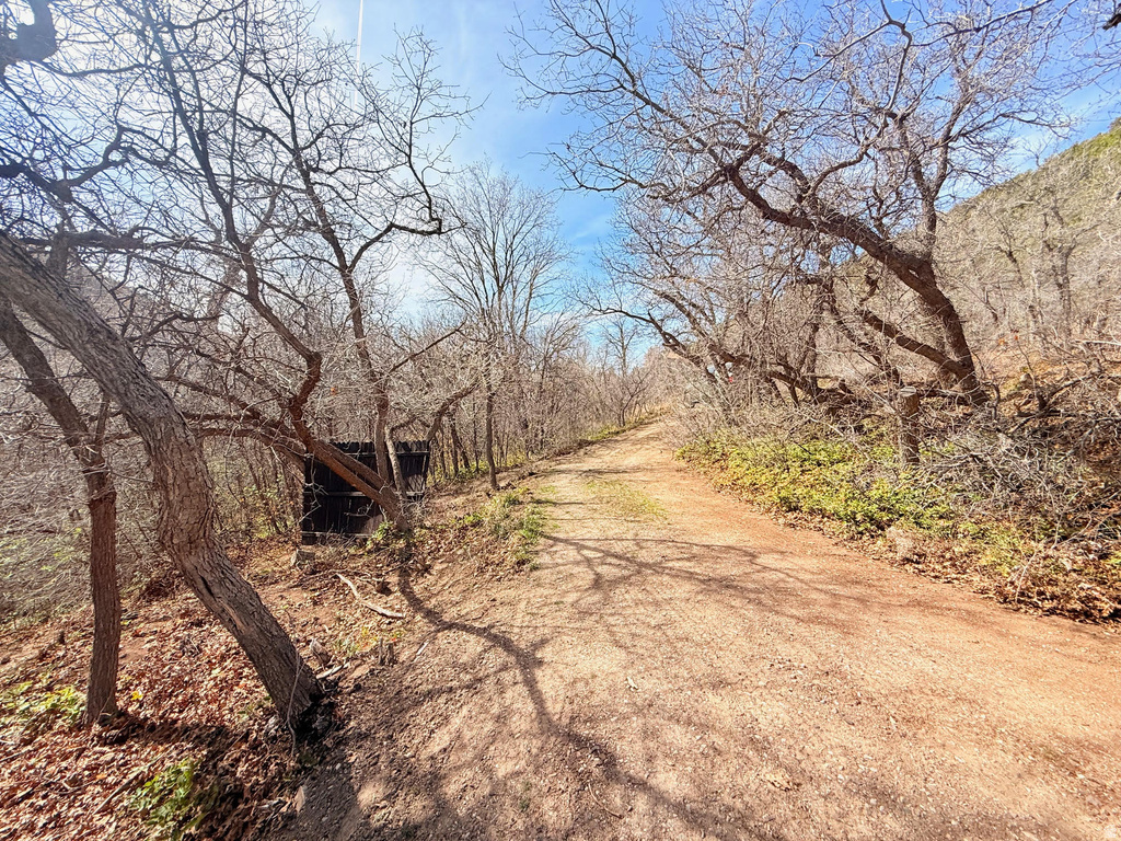 13780 BIRCH CREEK RD #D14 Fairview, UT 84629