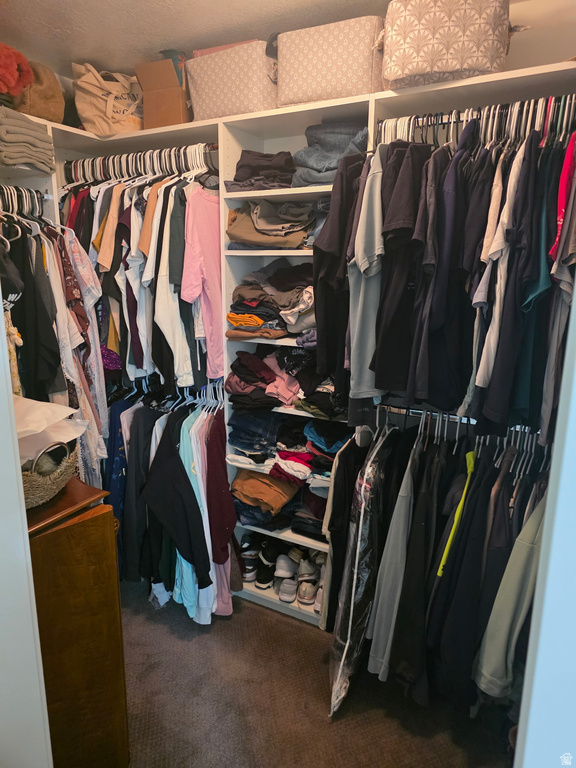 934 LARDEO DR Spanish Fork, UT 84660