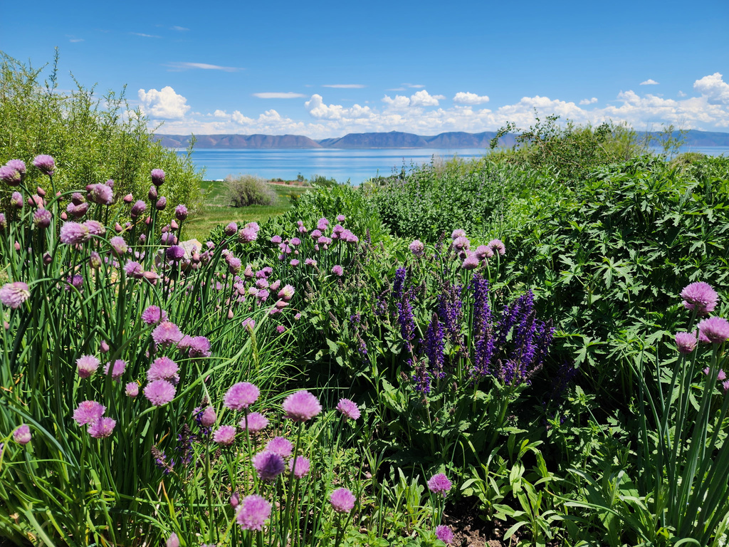 137 MAPLE DR #326&7 Fish Haven, ID 83287