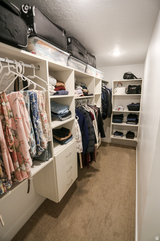 10830 N BLACK SHALE LOOP Highland, UT 84003