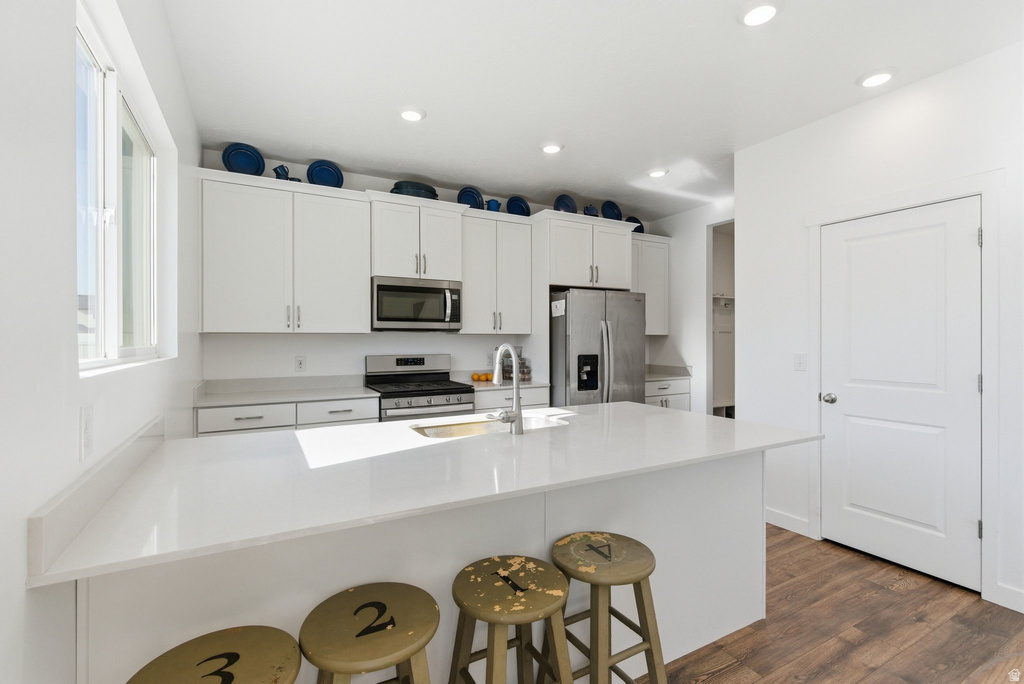 1123 S RED DR Santaquin, UT 84655