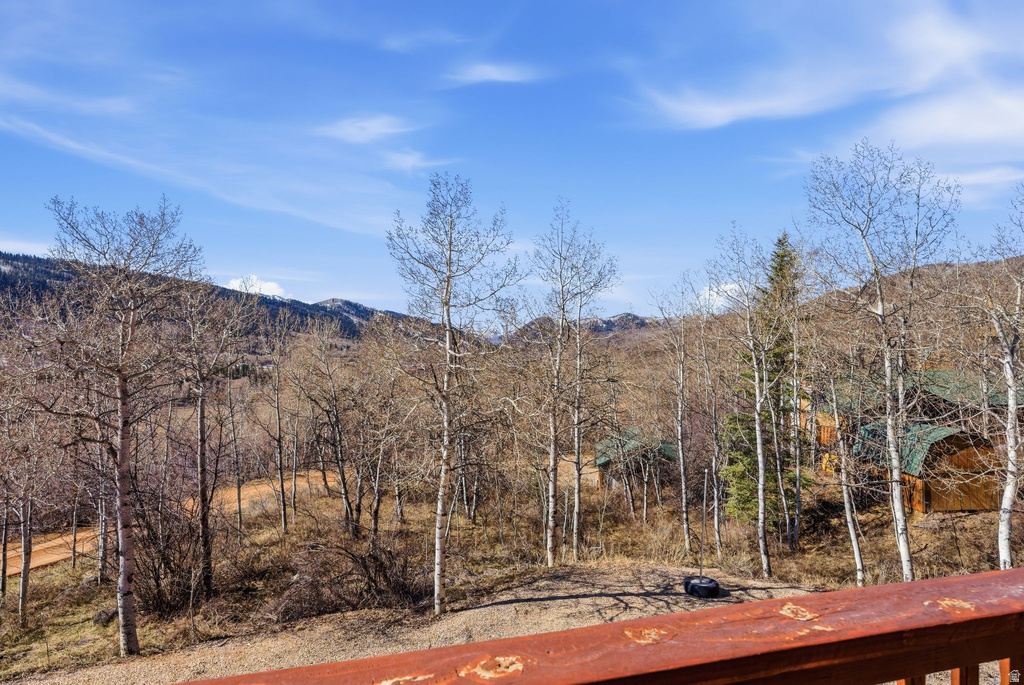 5363 FREMONT TRL #41 Oakley, UT 84055