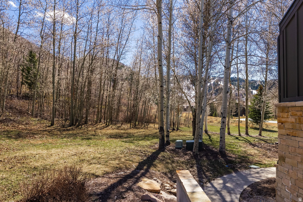 2358 GOOD TRUMP CT Park City, UT 84060