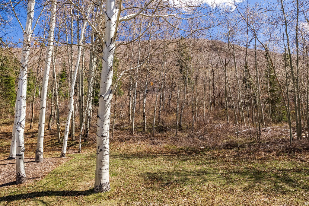 2358 GOOD TRUMP CT Park City, UT 84060