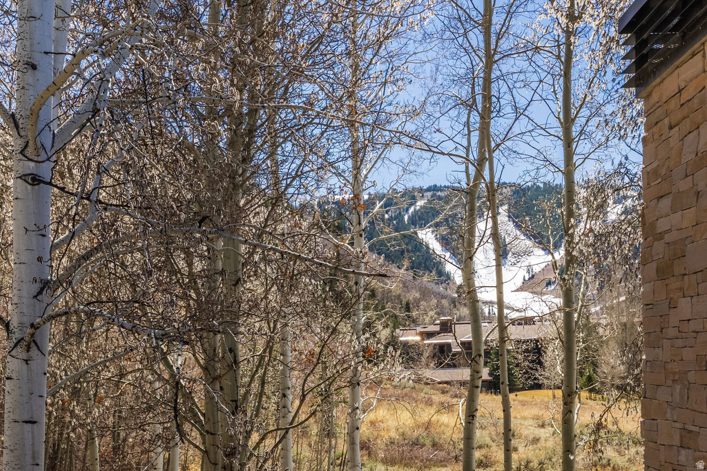 2358 GOOD TRUMP CT Park City, UT 84060