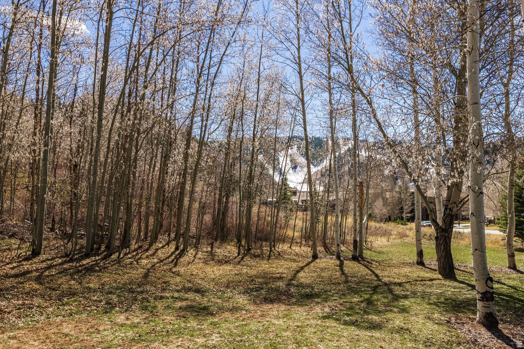 2358 GOOD TRUMP CT Park City, UT 84060