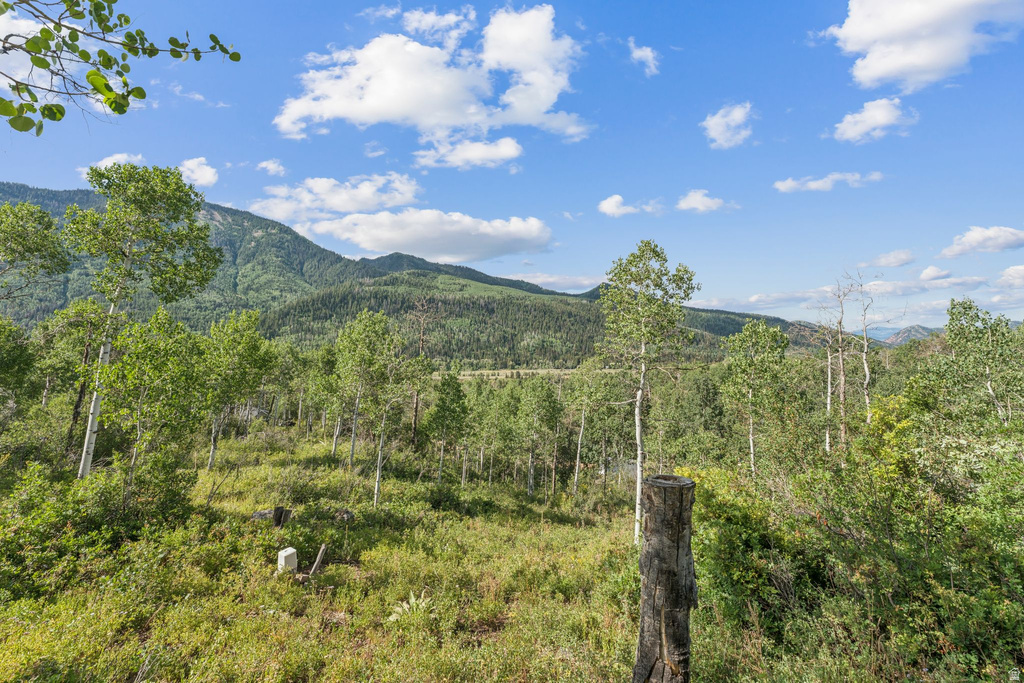 127 COMANCHE PASS #127 Oakley, UT 84055