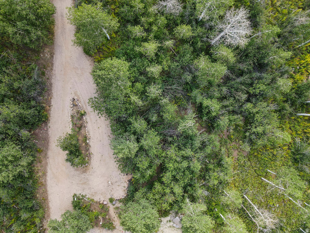 126  COMANCHE Oakley, UT 84055