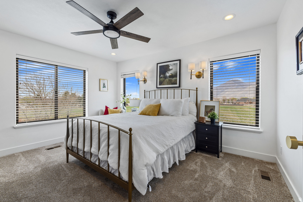 684 LOOKOUT POINT DR Mapleton, UT 84664