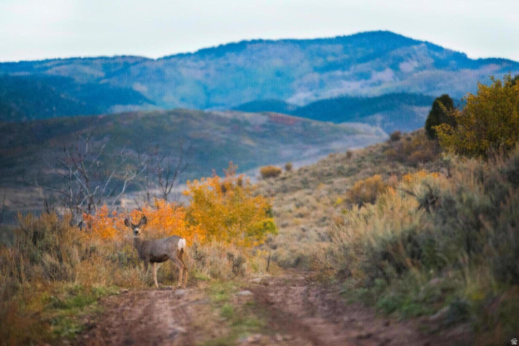 7396 E MOON LIGHT DR #325A Heber City, UT 84032