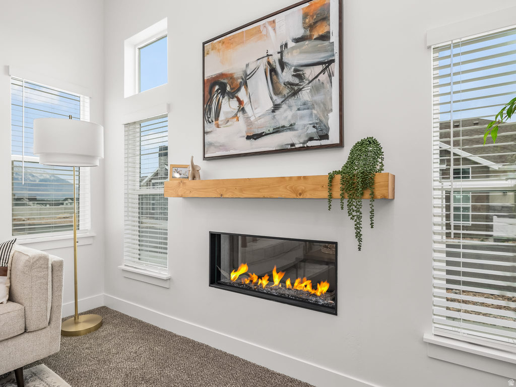 Detailed view of a glass covered fireplace and carpet