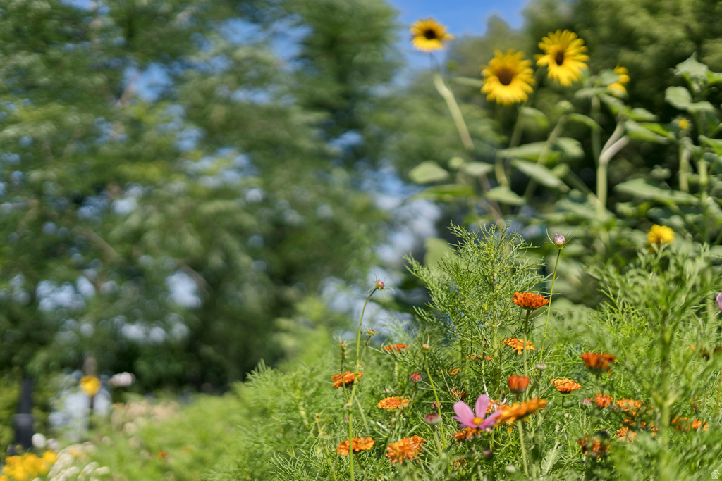 1410 S 300 E Salt Lake City, UT 84115