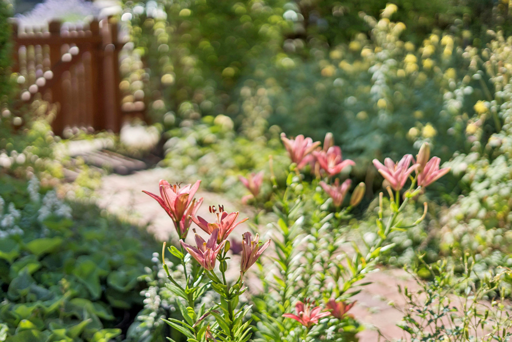 1410 S 300 E Salt Lake City, UT 84115