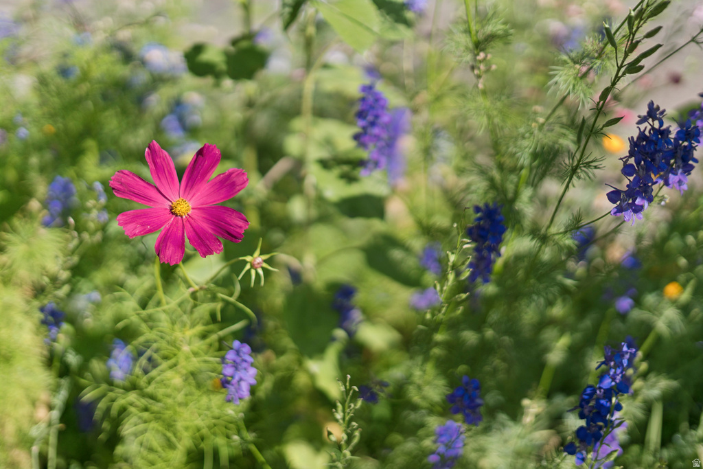 1410 S 300 E Salt Lake City, UT 84115