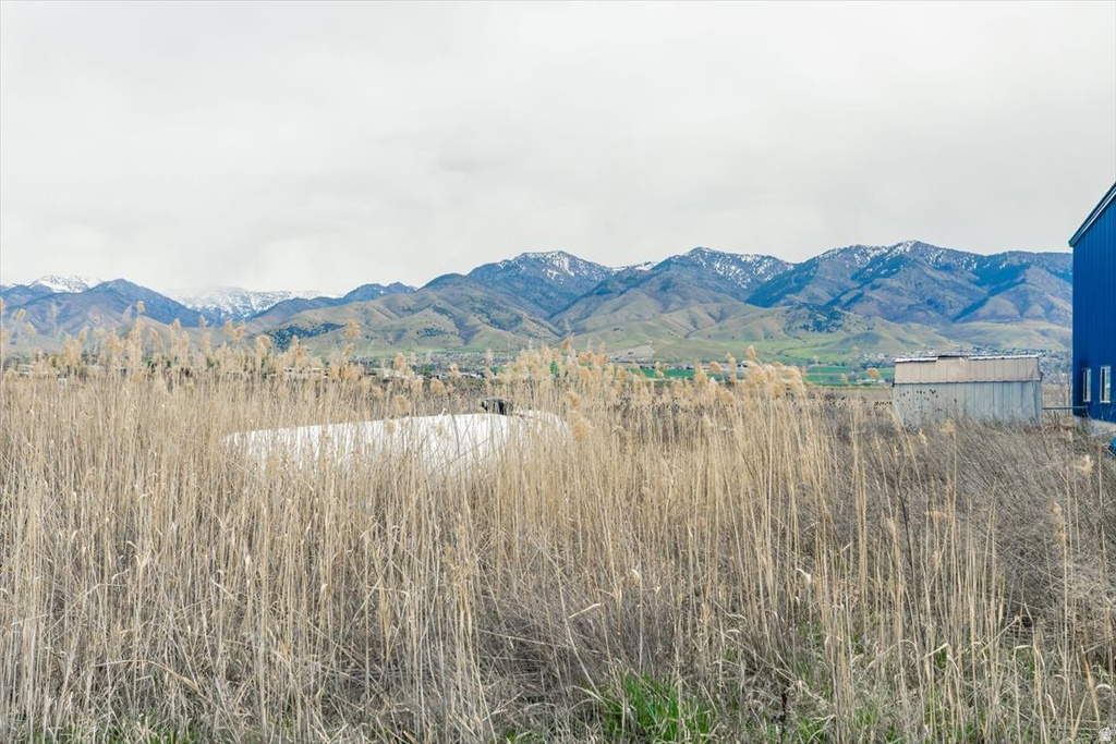 View of mountain background