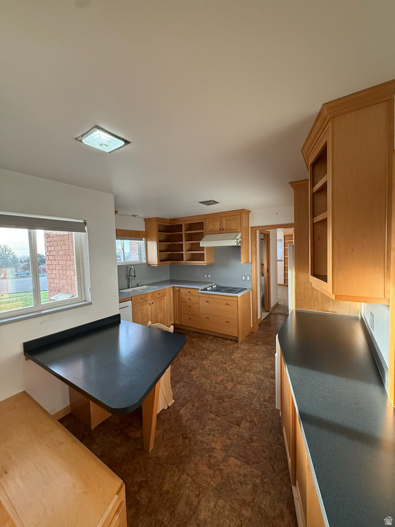 3343 S 2880 E Salt Lake City, UT 84109