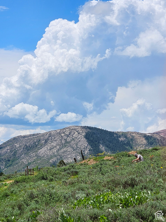 3378 N OAK CANYON RD CYN Huntsville, UT 84317