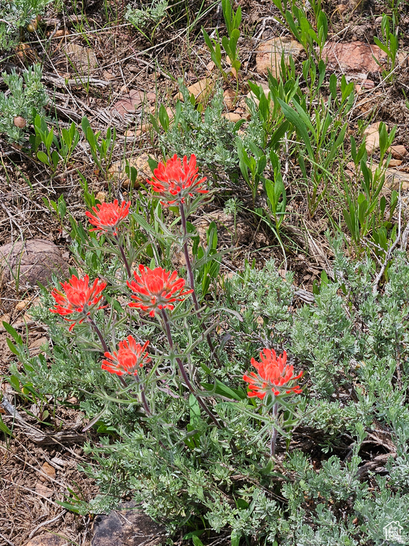 3378 N OAK CANYON RD CYN Huntsville, UT 84317