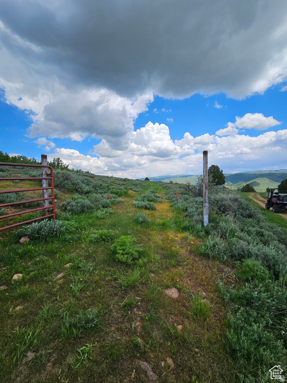 3388 N OAK CYN Huntsville, UT 84317