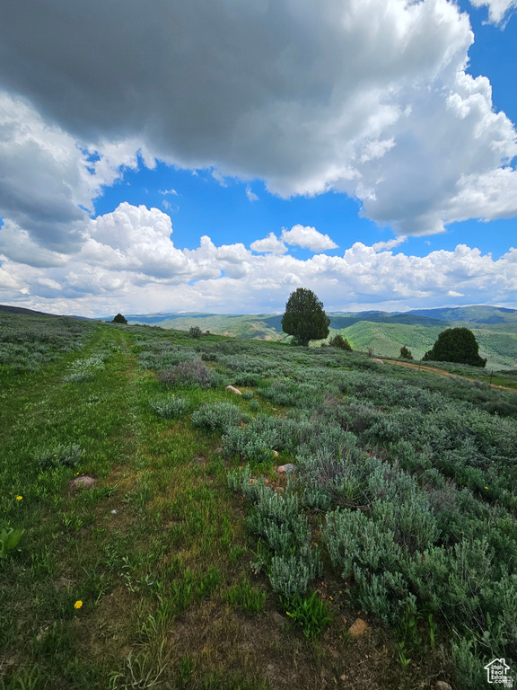 3388 N OAK CYN Huntsville, UT 84317