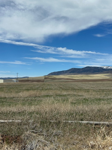 1 E JOE'S GAP RD Montpelier, ID 83254