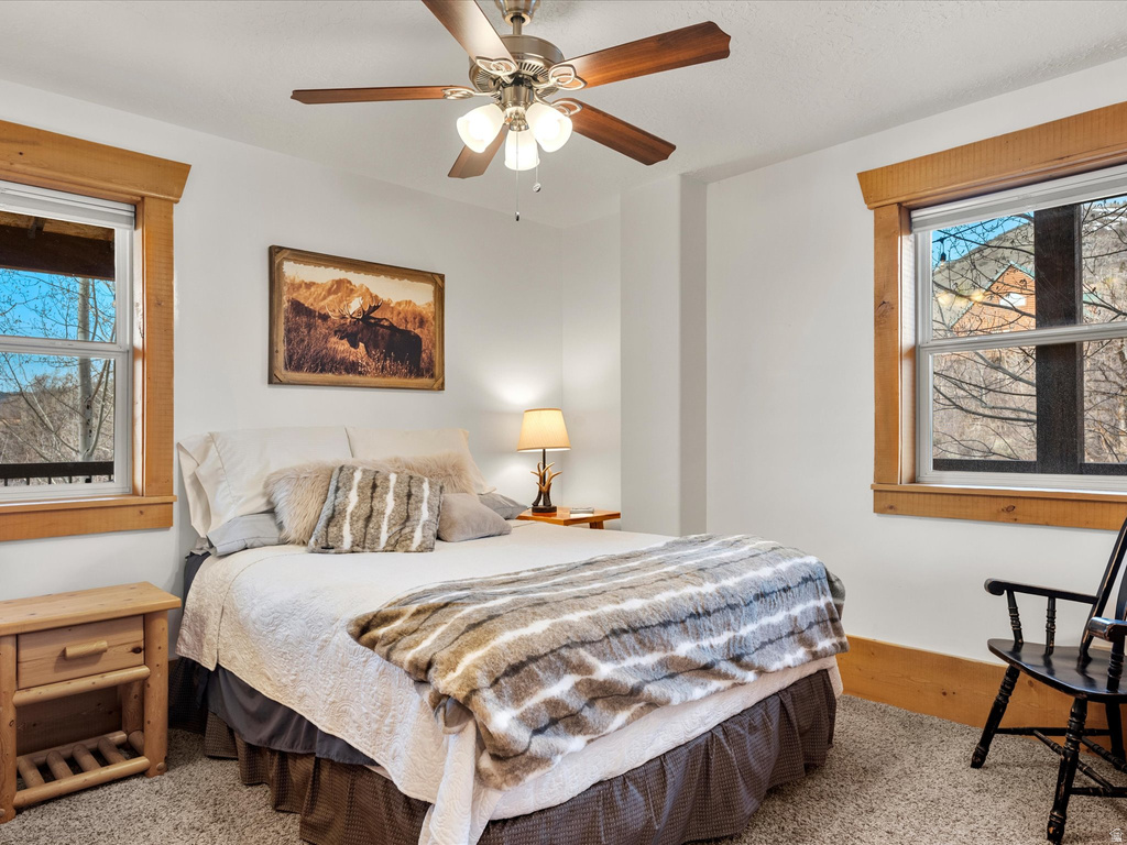 197 COLDSPRINGS DR #331 Fish Haven, ID 83287