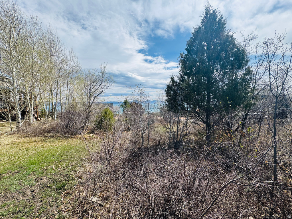 197 COLDSPRINGS DR #331 Fish Haven, ID 83287